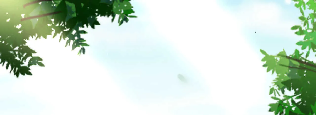 第300页