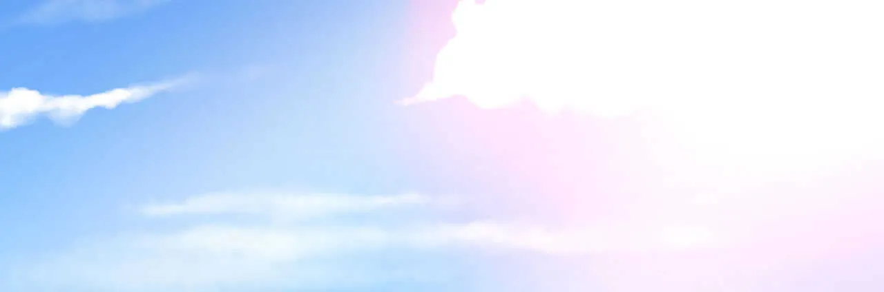 第516页