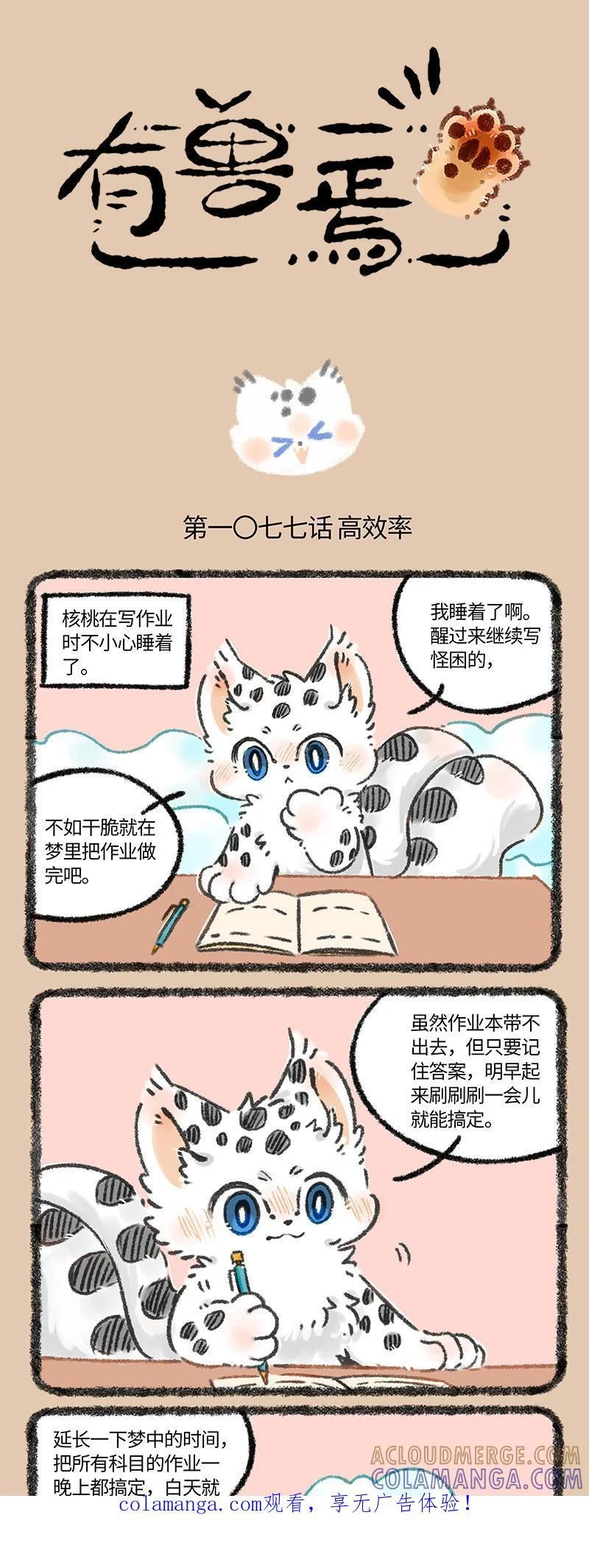 第0页