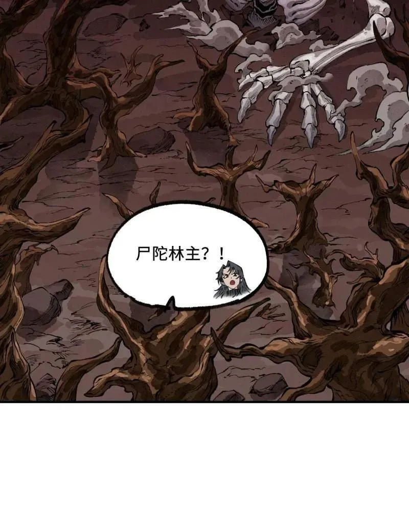 第243页