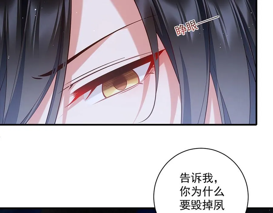 第243页