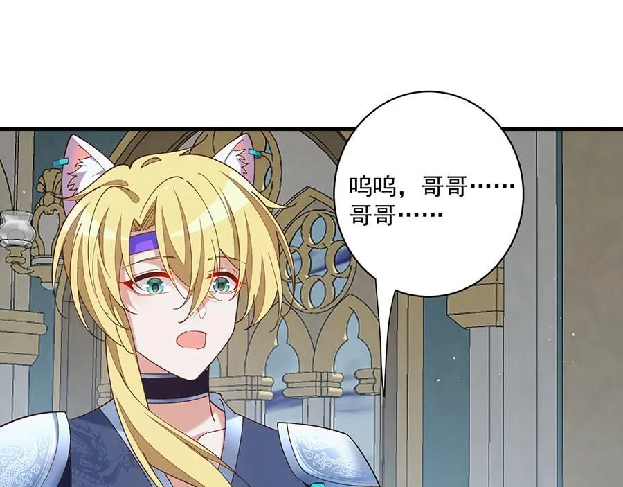 第231页