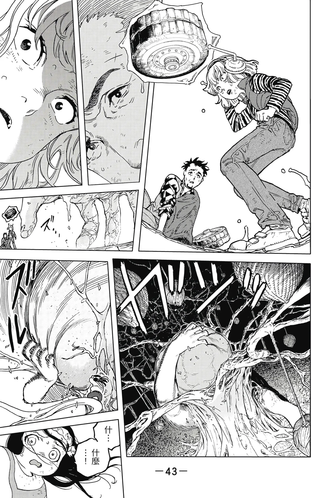 第43页