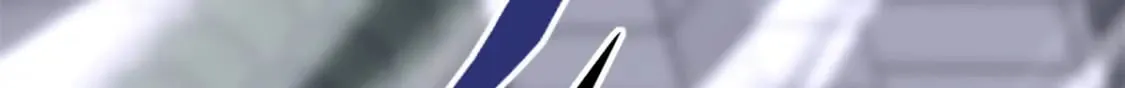第519页