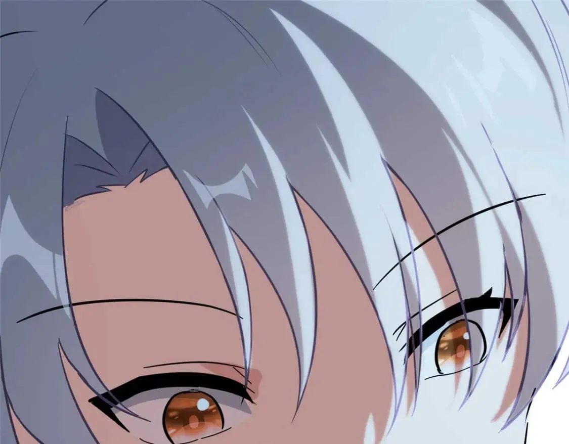 第204页