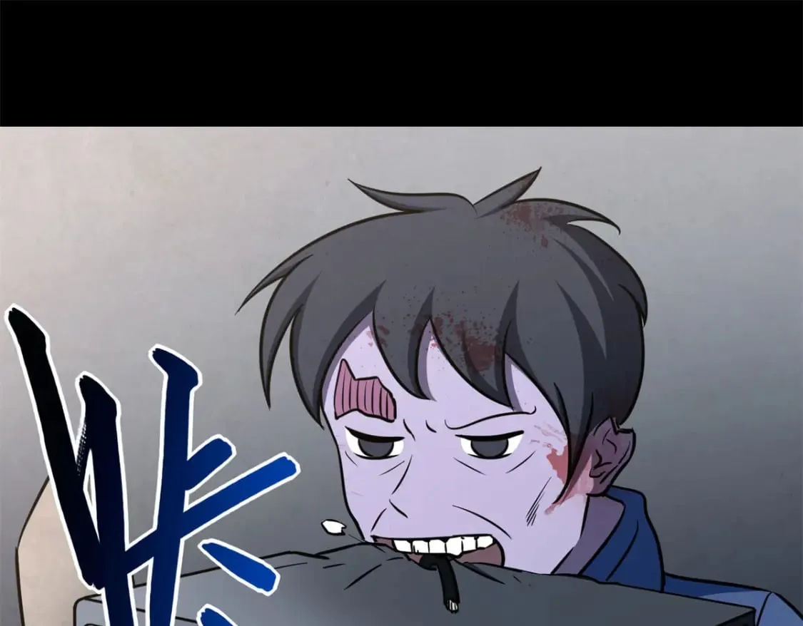 第204页
