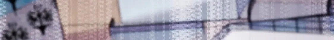 第543页