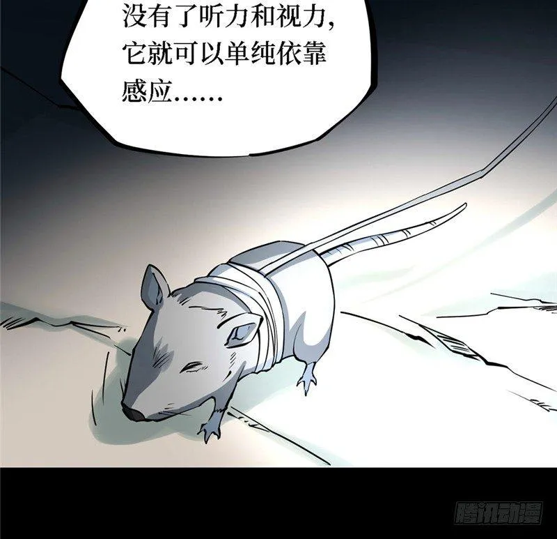 第174页