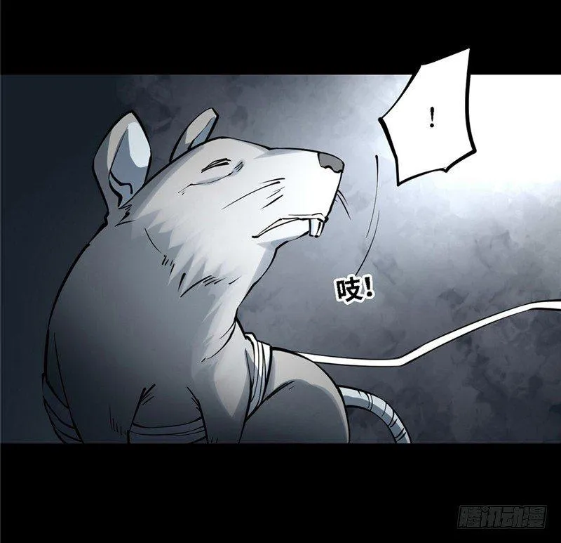 第177页