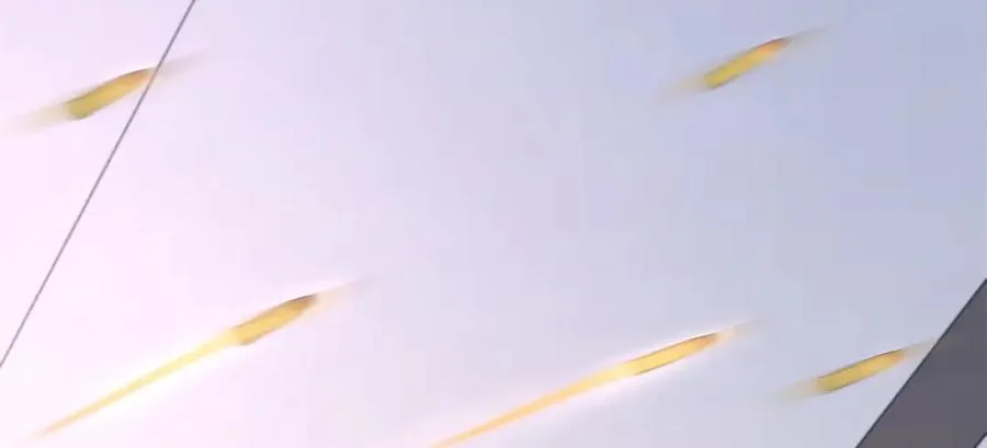 第222页