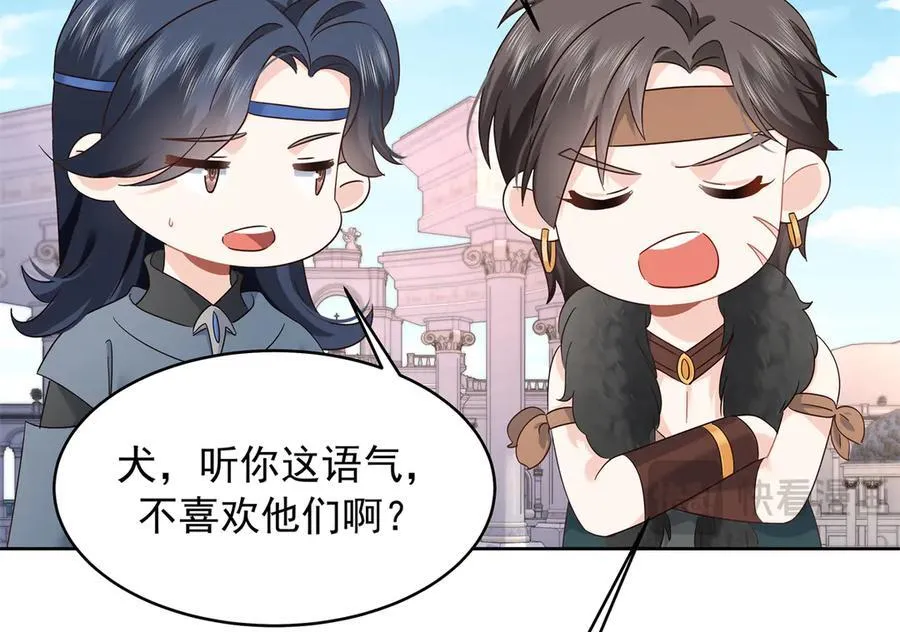第255页