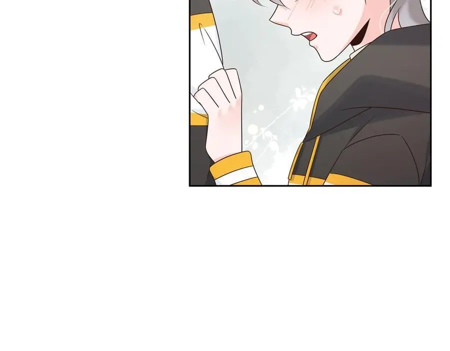 第219页