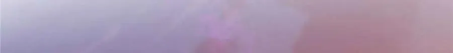 第249页