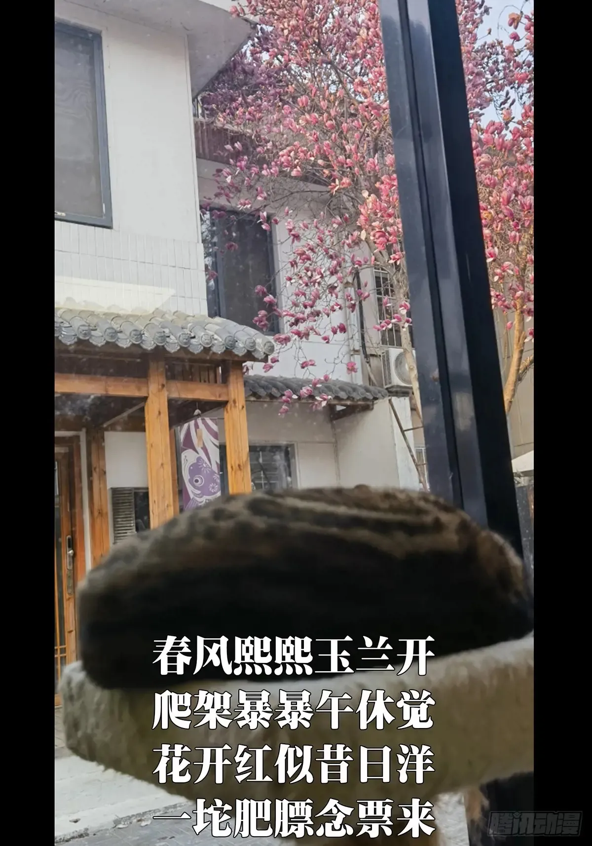 第150页