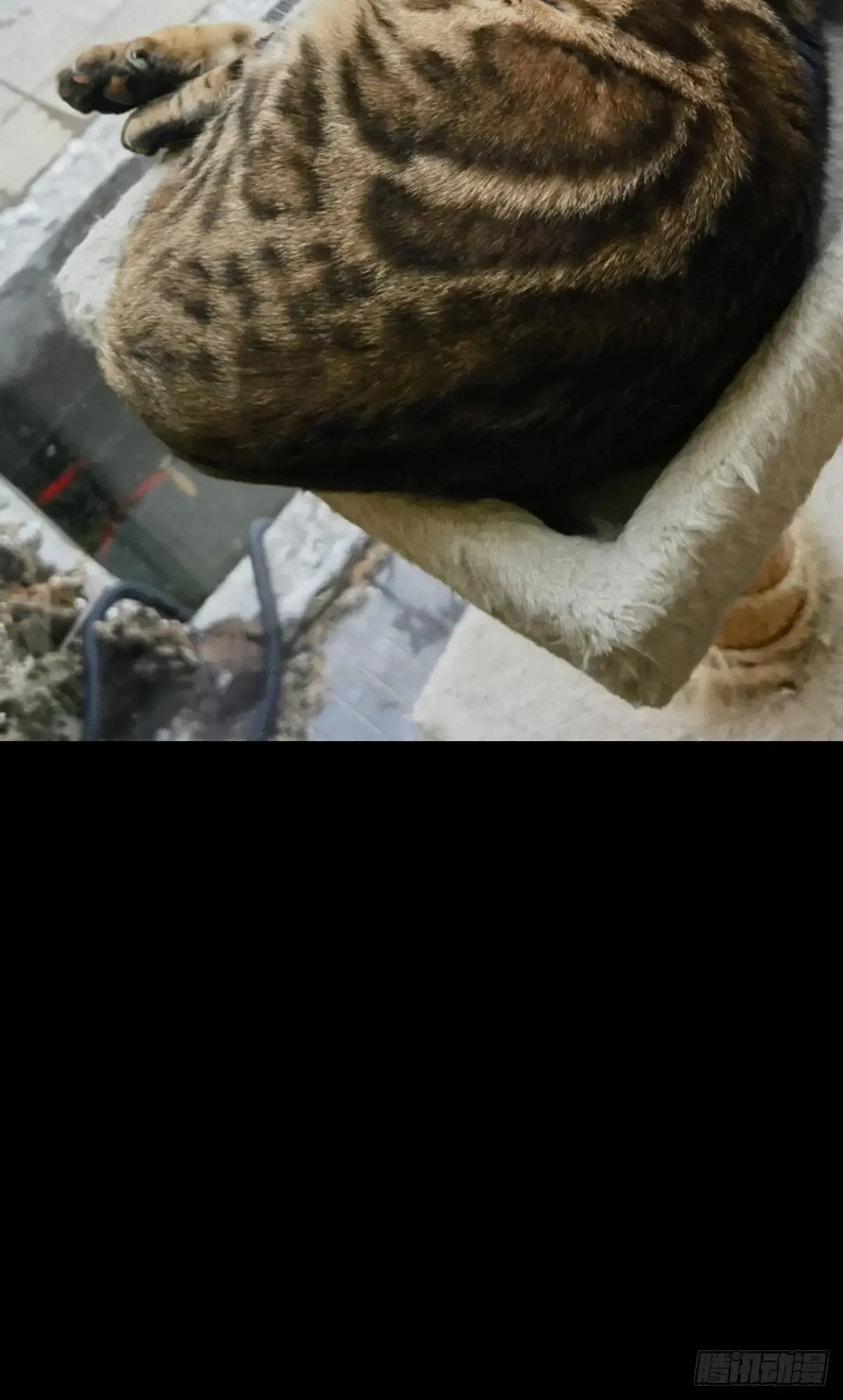 第156页