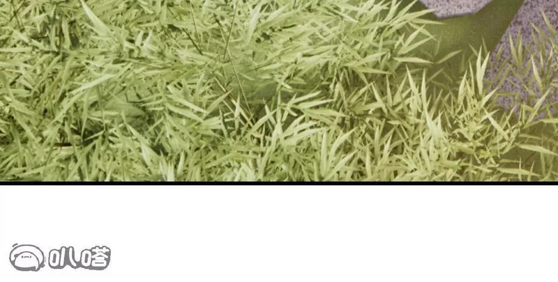 第255页