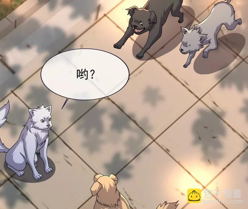 第411页