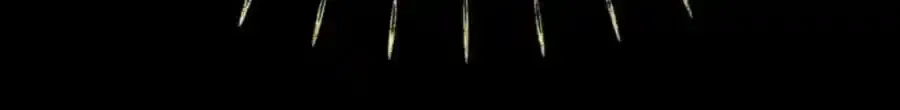 第369页