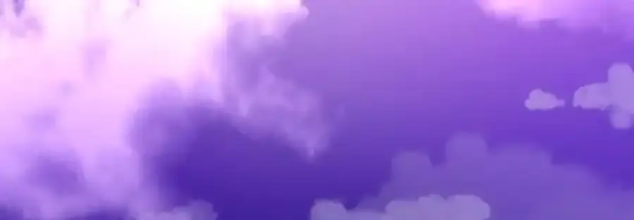 第291页