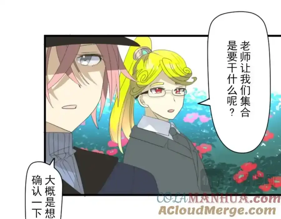 第204页