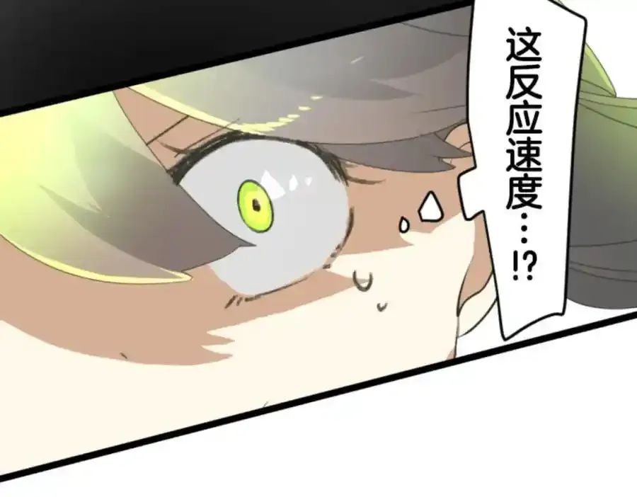 第231页