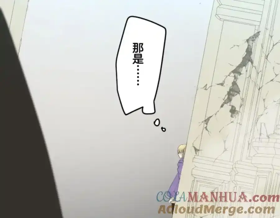 第204页