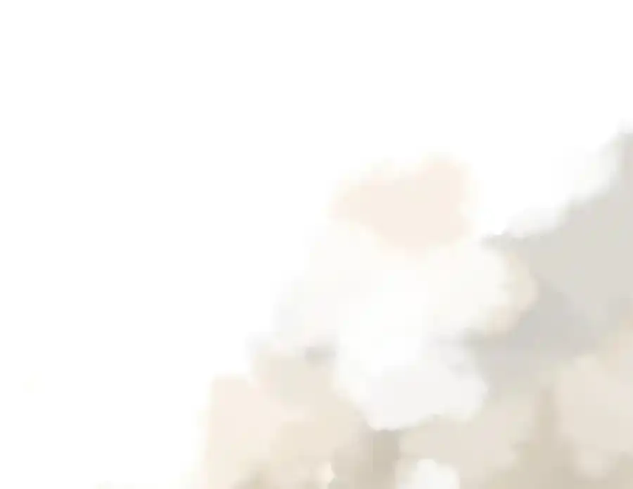 第255页