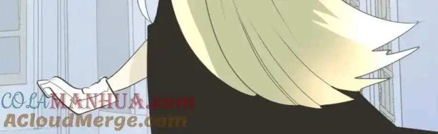 第204页