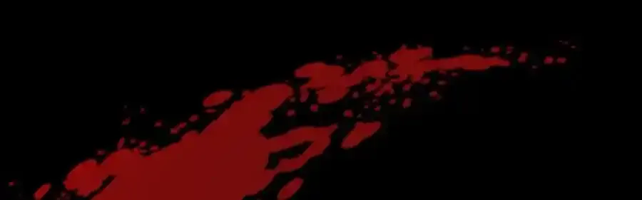 第222页