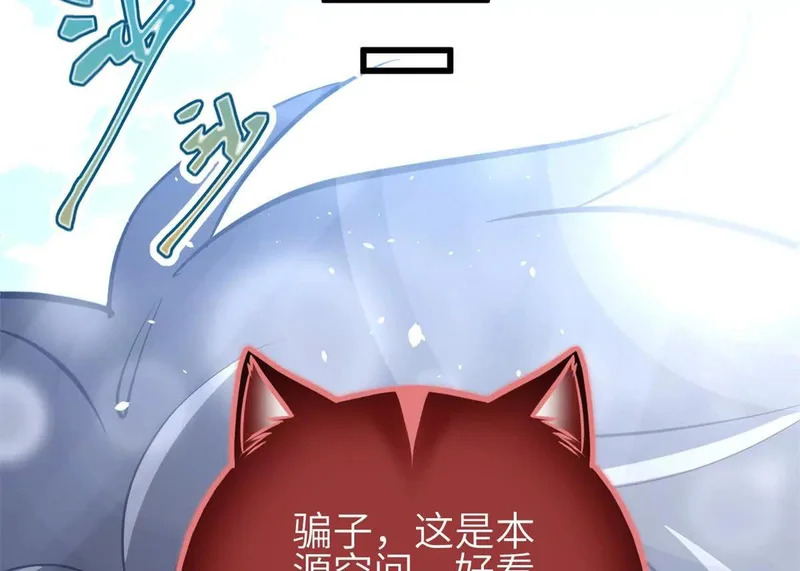 第339页