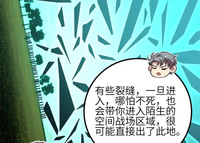 第339页