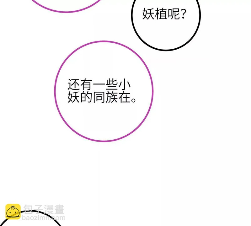 第264页