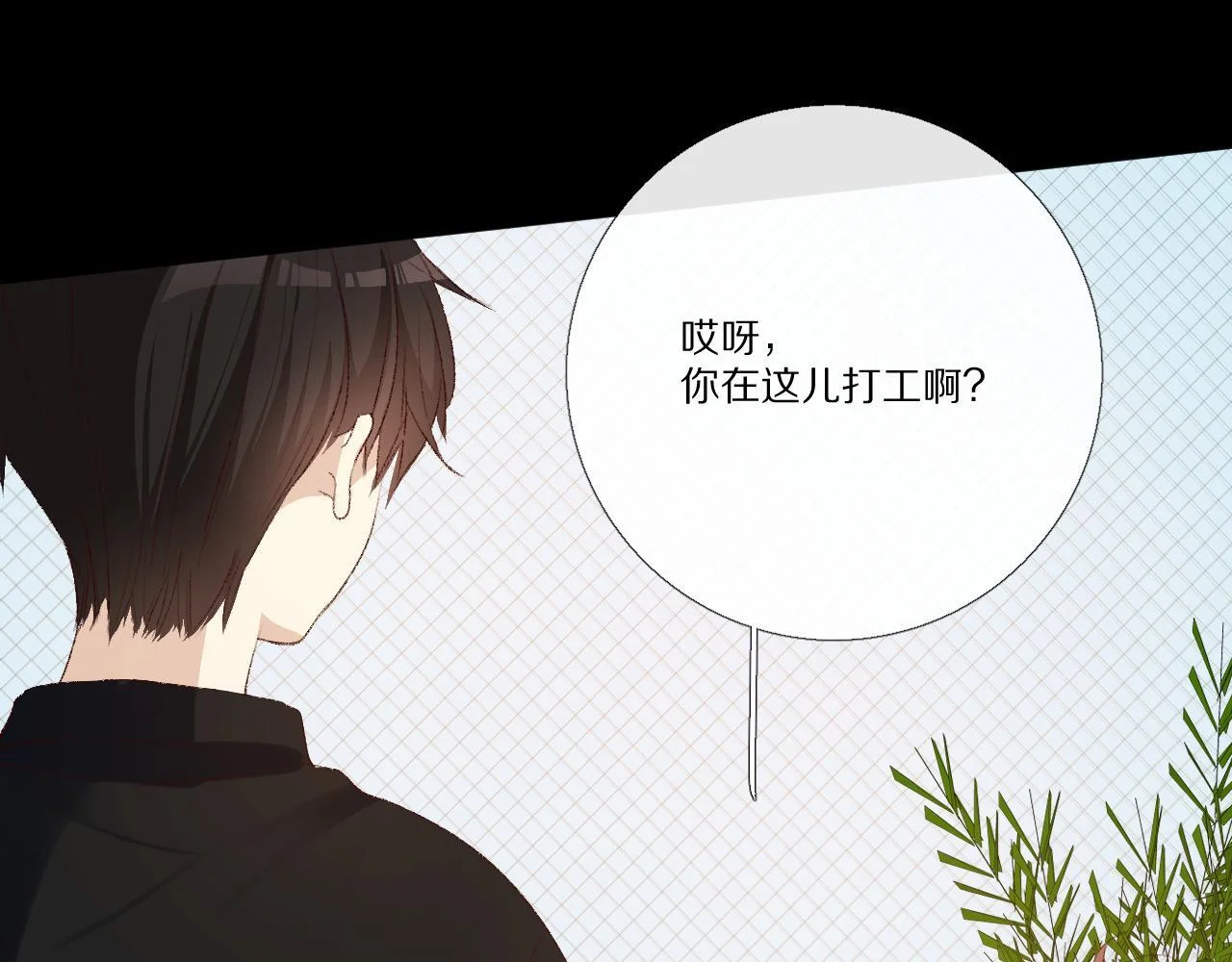 第369页