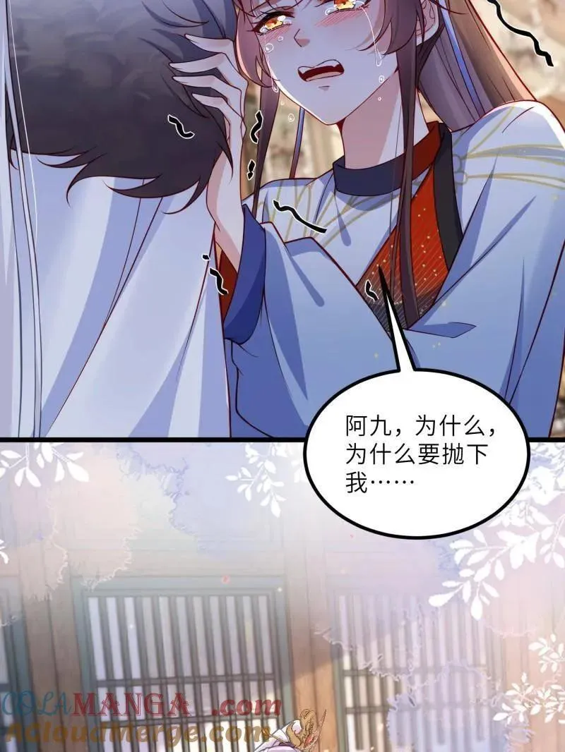 第135页
