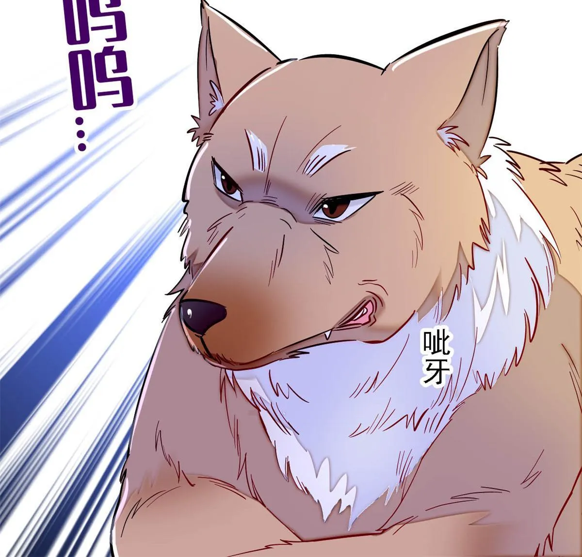 第135页