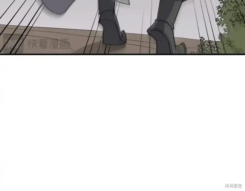 第282页