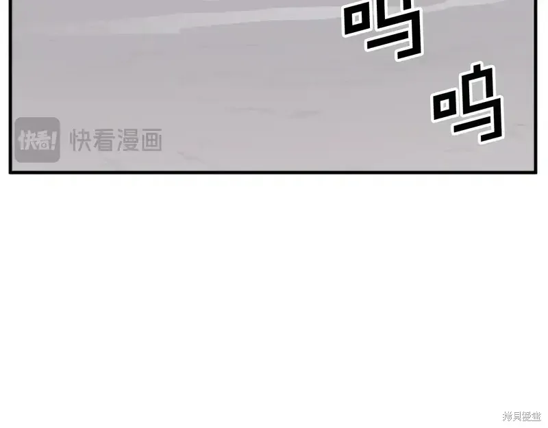 第411页