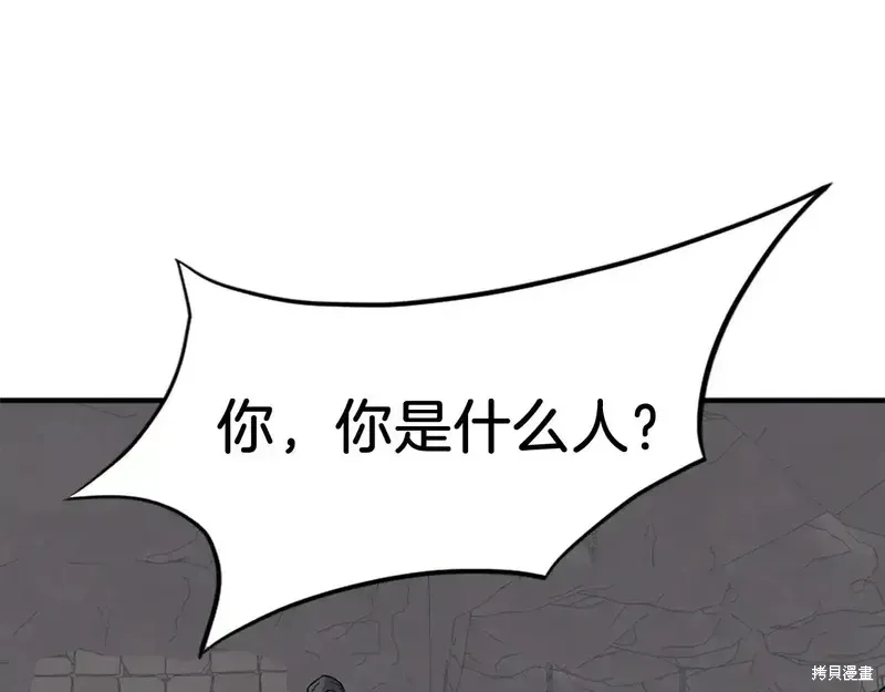 第411页