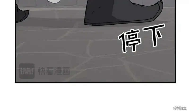 第315页