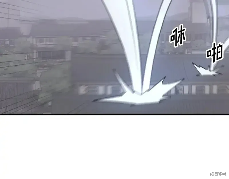 第213页