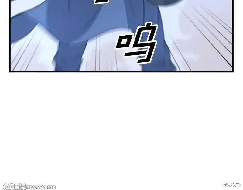 第234页