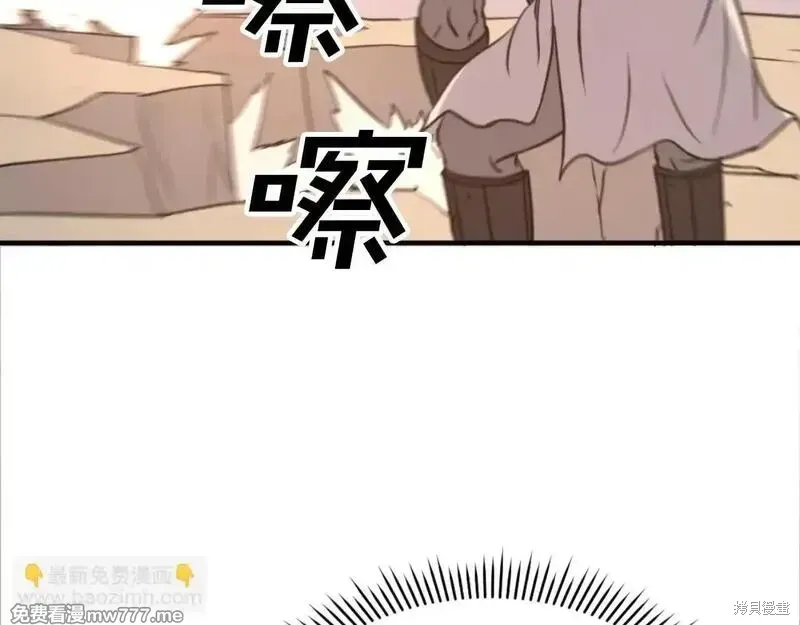第333页