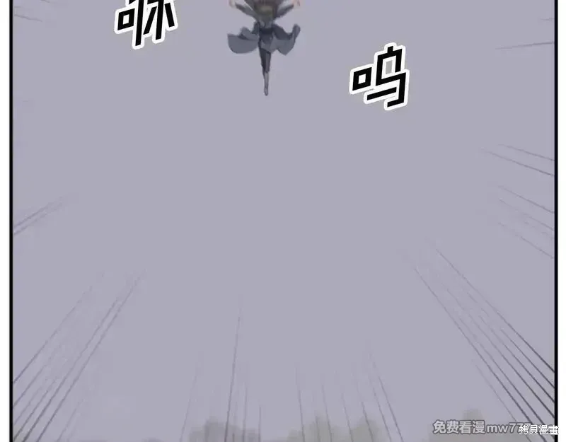 第231页