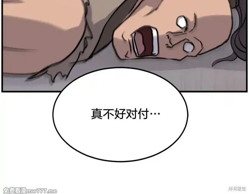 第333页