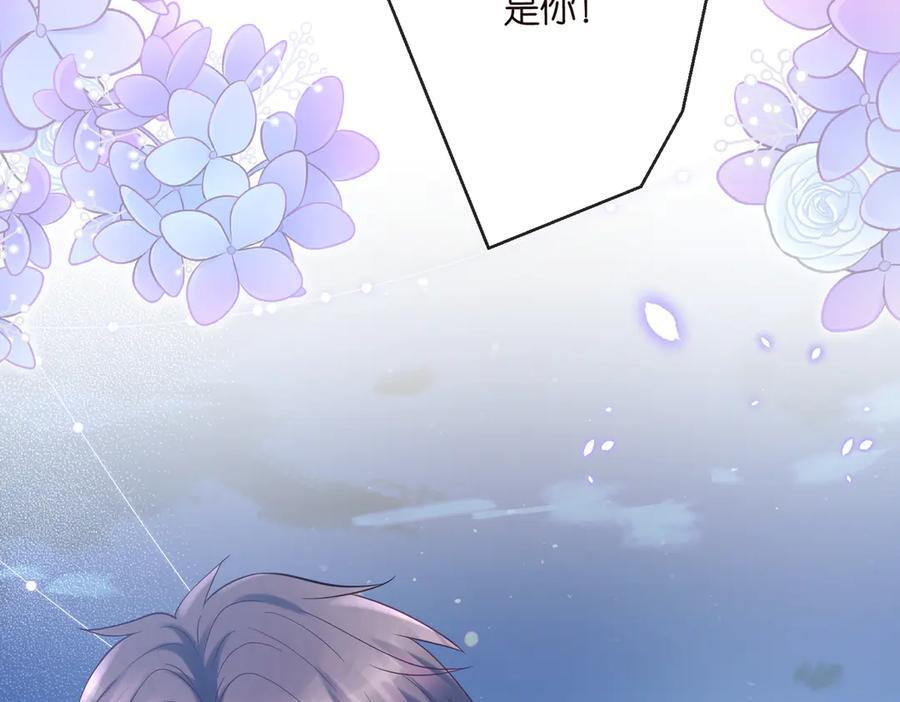 第231页