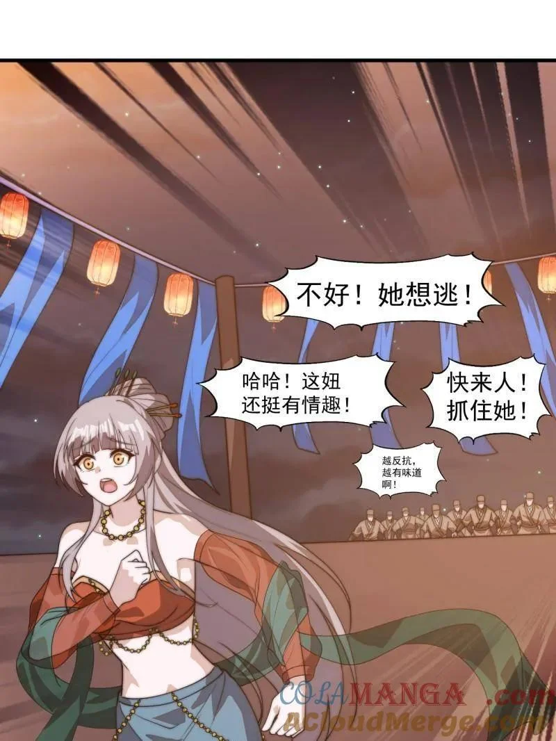 第204页