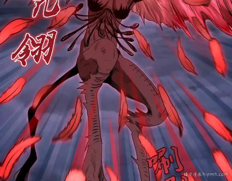 第213页