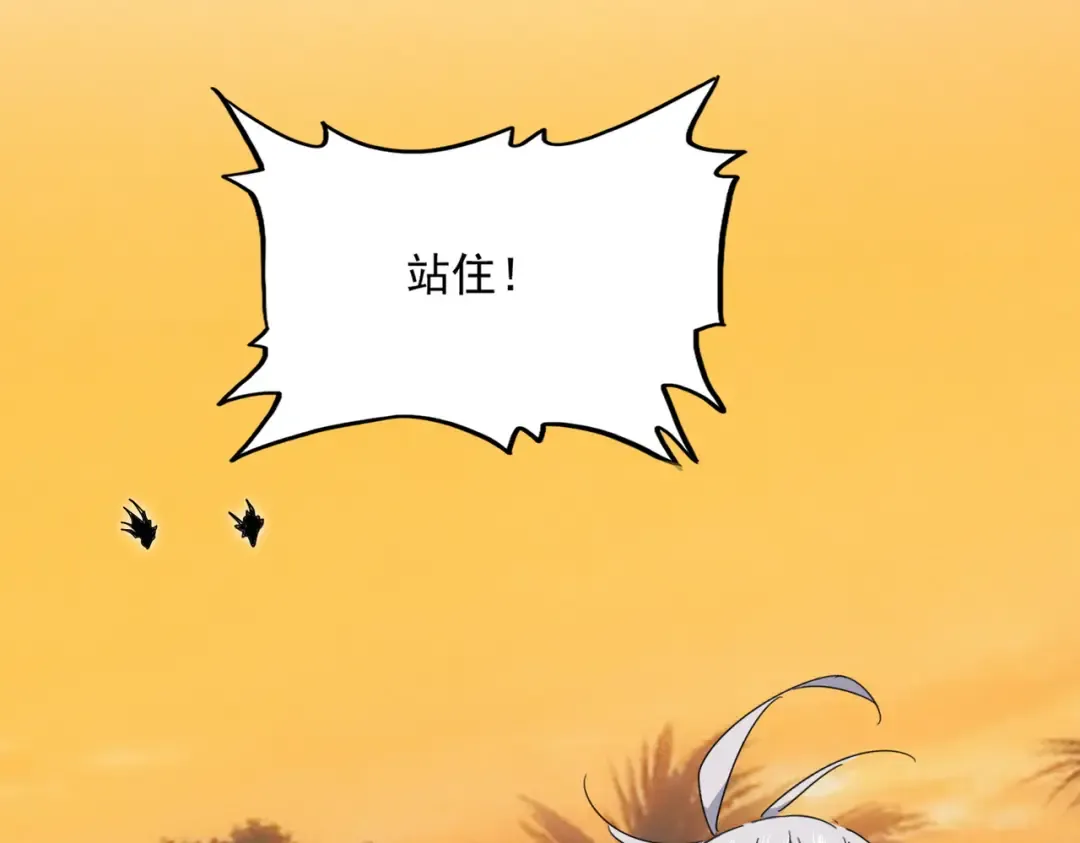 第216页