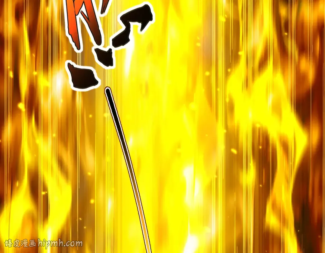 第213页