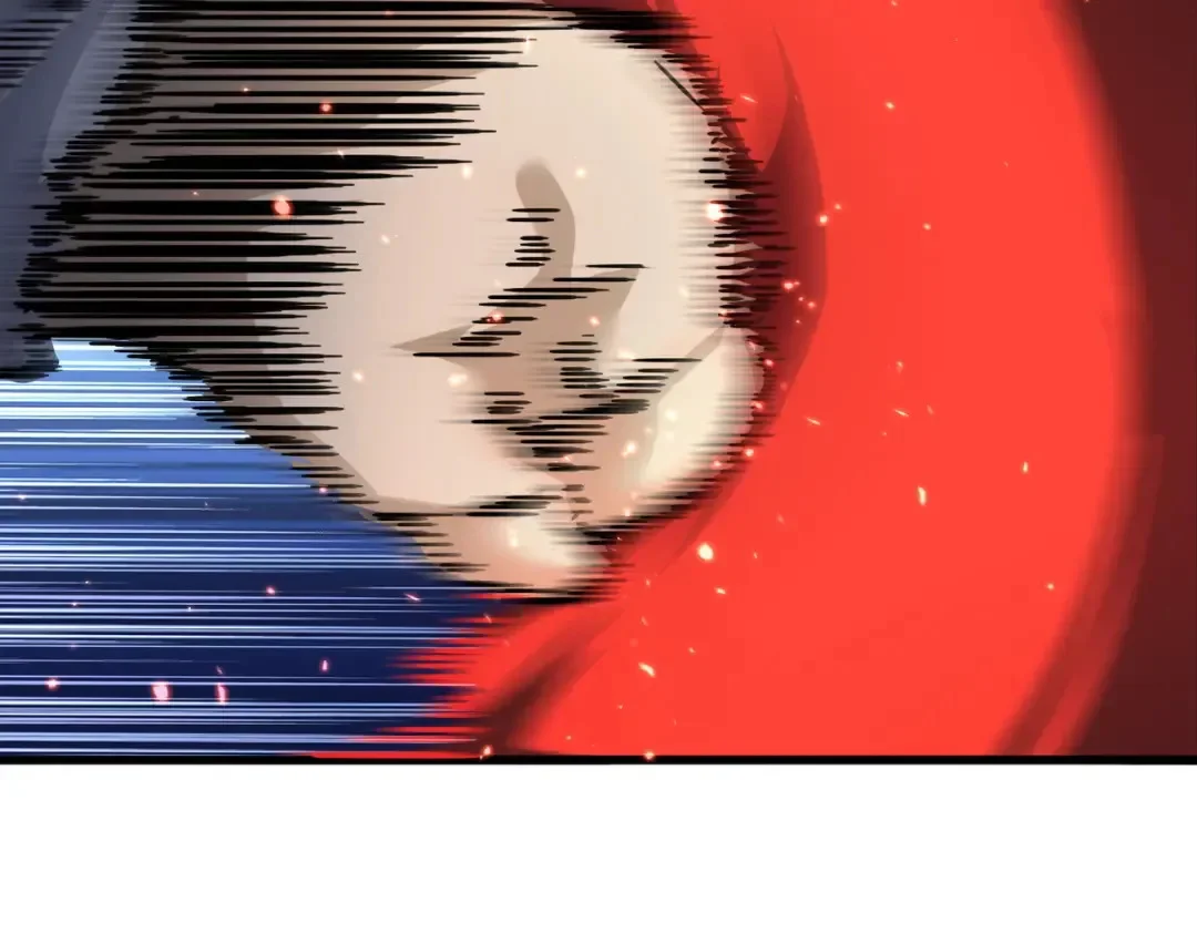 第243页